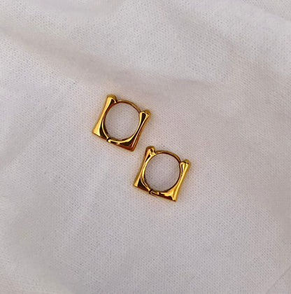 Earrings 0.8