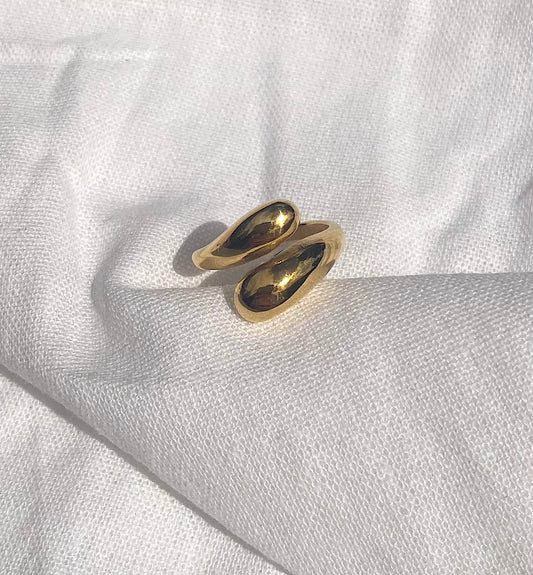 Ring 0.1