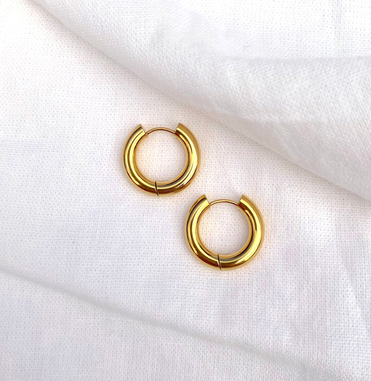 Earrings 0.6